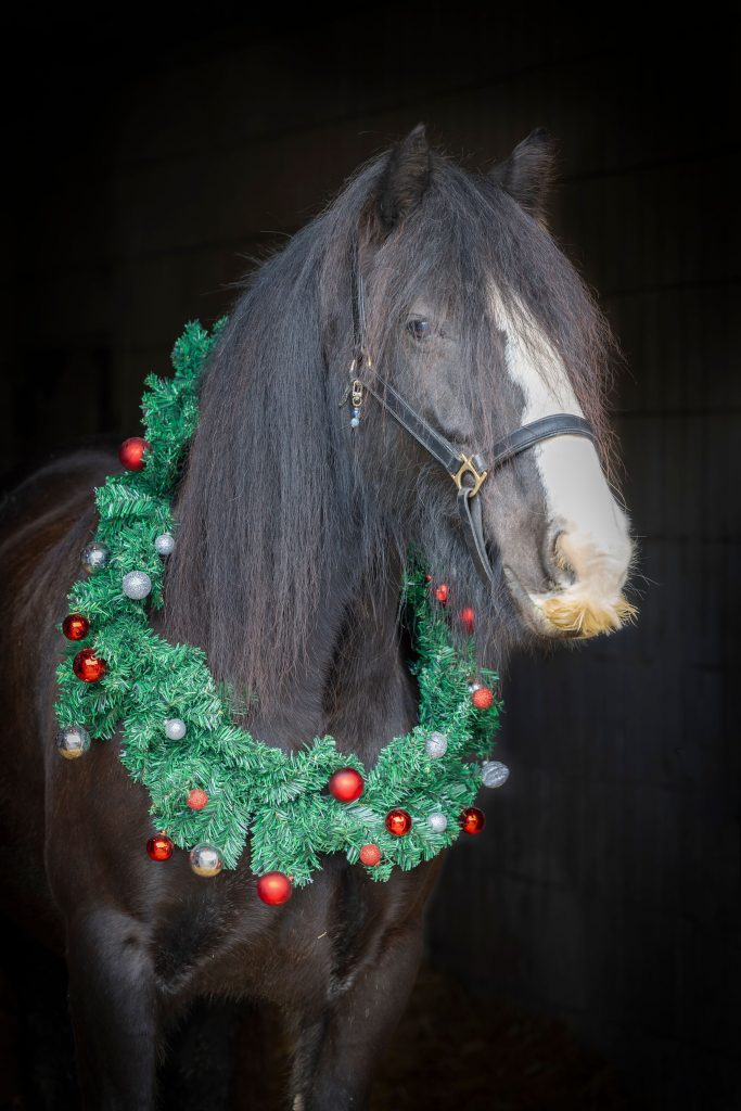 370148903_331338039510782_8290953658305204199_n