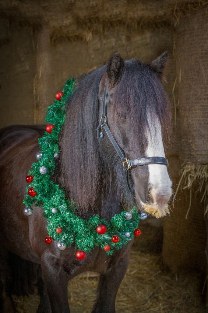 367985402_270025772675484_675613333236031272_n